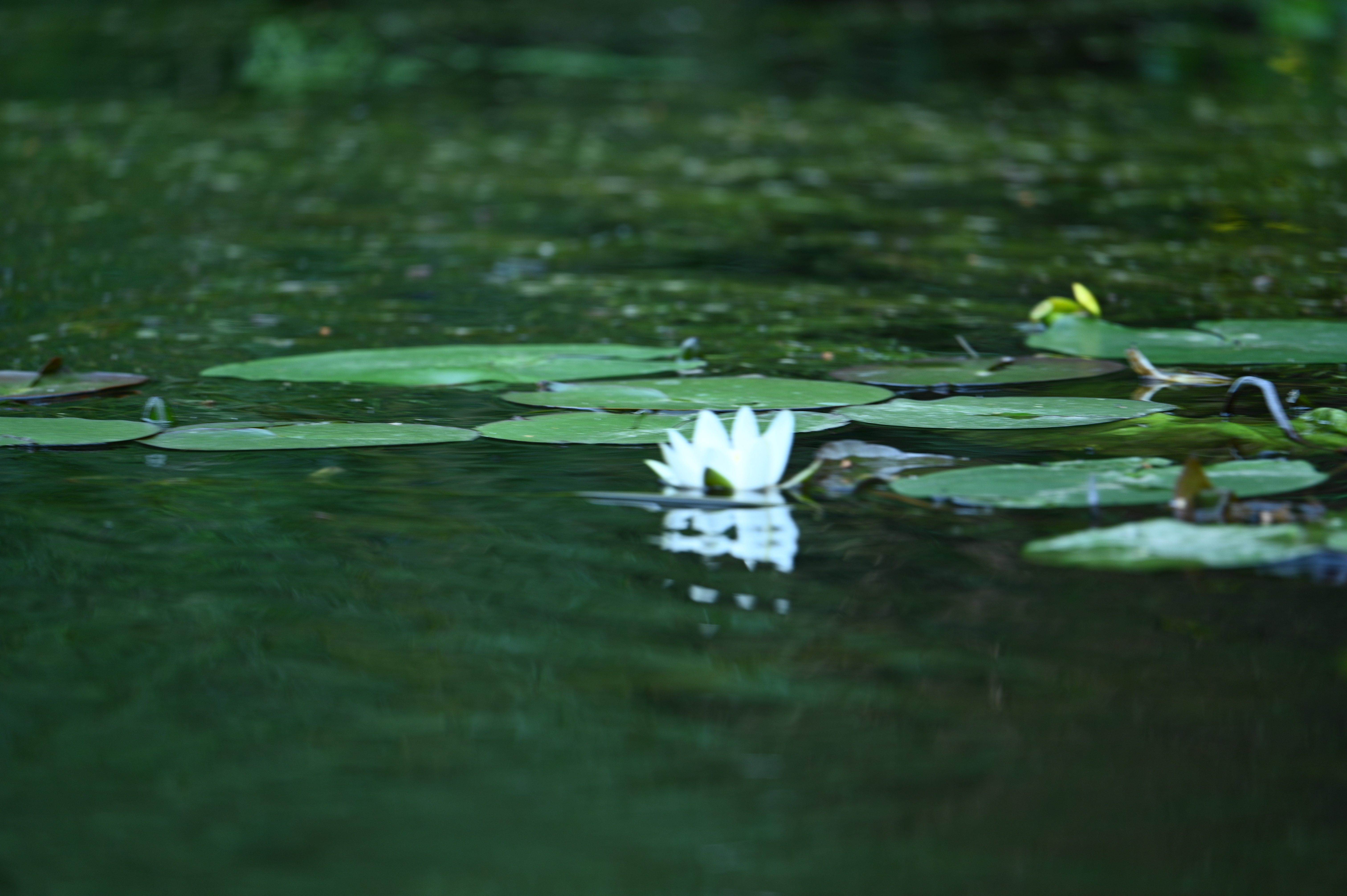 2025/07/09-14 - trip/DSC_0209.JPG